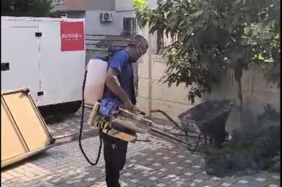 MHP Adana İl Başkanı Kanlı: Adana’da sinek ve haşerat sorunu büyüyor