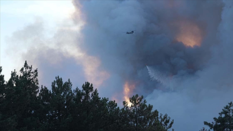 Tarım ve Orman Bakanı İbrahim Yumaklı