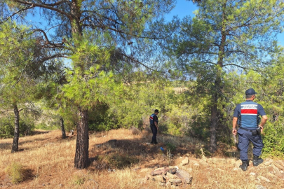 Aydın’da ormanlara giriş ve ateş yasağını delen 101 kişiye ceza: 261 bin TL