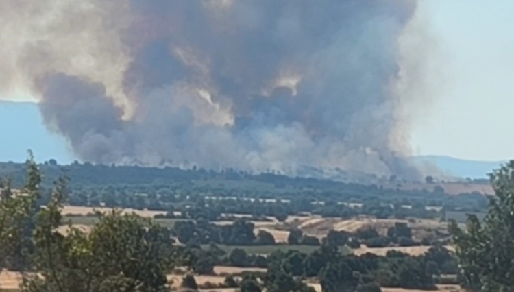 bulgaristan orman yangını