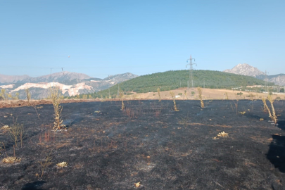 Isparta’da karganın çarpmasıyla çıkan yangında 2 dönüm alan yandı