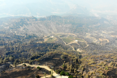 Kahramanmaraş'ta orman yangını 3'üncü gününde: 611 personel, 6 helikopter ve 78 iş makinesiyle müdahale ediliyor