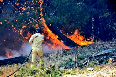 Kuraklık ve sıcaklık artışı, yangınları kontrolden çıkarıyor