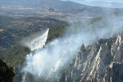 Muğla'da bu yıl çıkan orman yangınlarının yüzde 88'i insan kaynaklı