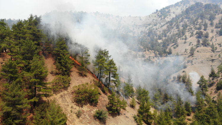 orman yangını
