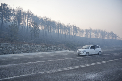Orman yangınlarında son durum: Bursa, Kahramanmaraş, Karabük'te orman yangınları devam ediyor