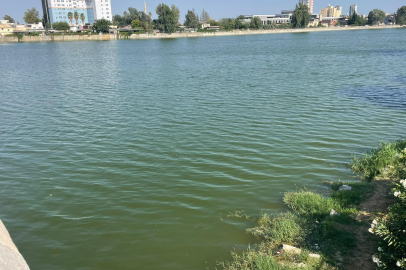 Seyhan Nehri’nde kirlilik gözle görülür hale geldi