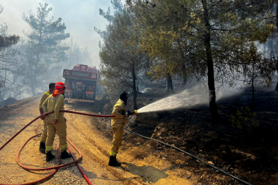 'Yeşil Vatan' savunması cansiperane sürüyor
