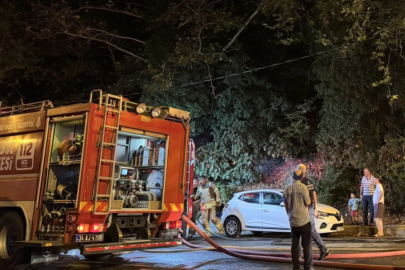Beykoz'da işaret fişeği ormanı küle çevirdi: Şüpheli tutuklandı