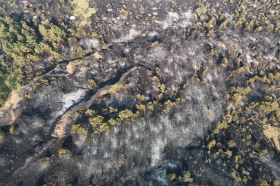 Karabük’te günlerdir süren orman yangını kontrol altına alındı
