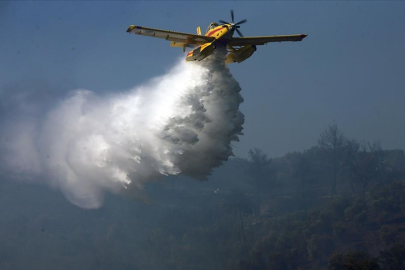 69 orman yangınından 68'i kontrol altına alındı