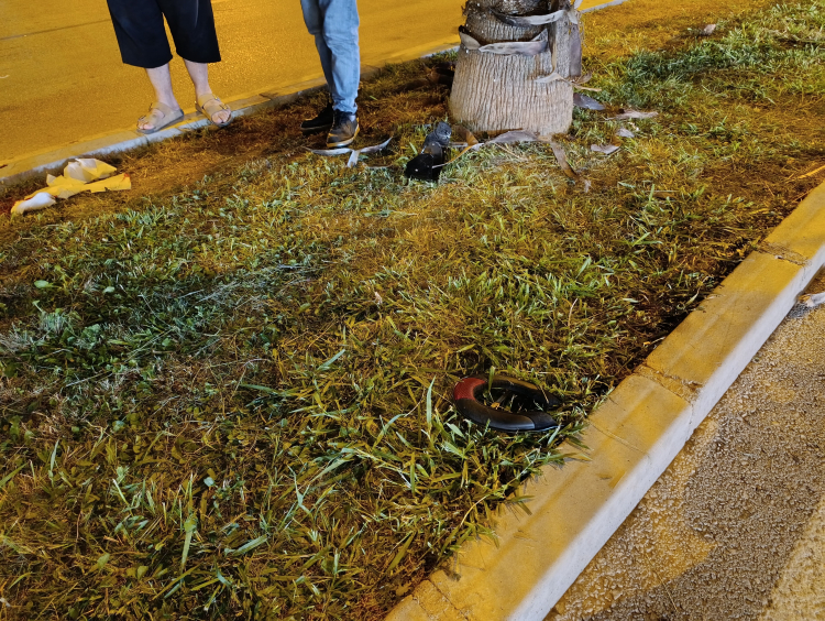 Adana’da motosiklet yaya geçidinde bisikletliye çarptı 1 ölü, 1 yaralı 2