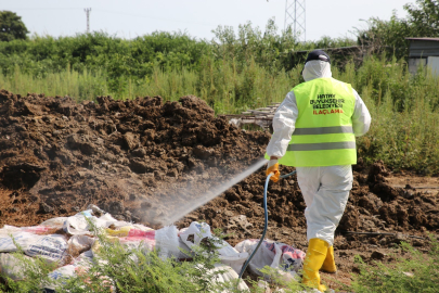 Hatay’da Akdeniz meyve sineğine karşı ilaçlama seferberliği