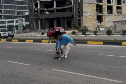Hatay'da yolun ortasında kalan yavru kedi minibüs şoförünün dikkatiyle kurtarıldı