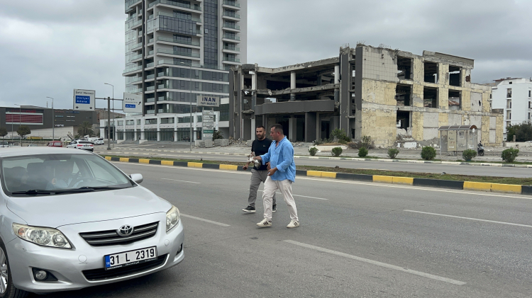 Hatay'da yolun ortasında kalan yavru kedi minibüs şoförünün dikkatiyle kurtarıldı 2