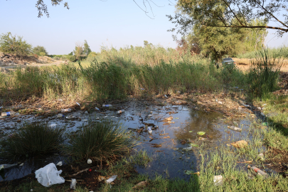 Adana'daki doğa harikası göletler çöp içinde kaldı: Muhtardan sert tepki, "Kirletecekseniz gelmeyin"
