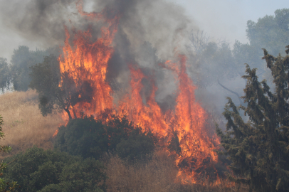 Aydın’da havaya ateş açan şahıslar kuru otları tutuşturarak yangına neden oldu