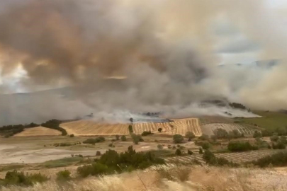 Bursa Yenişehir’de orman yangınına havadan ve karadan müdahale