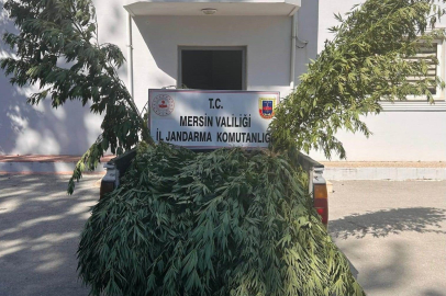Mersin’de uyuşturucu operasyonunda 8 kişi gözaltına alındı