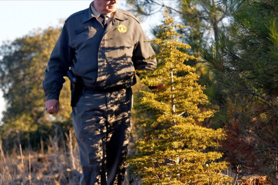 OGM personel alımı sonuçları ne zaman açıklanacak? Başvurular ne zaman sona erecek?