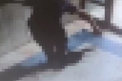 Başakşehir’de kediyi öldüren şahıs tutuklandı