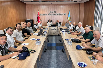 Hatay köylerinde kadastro hataları düzeltiliyor