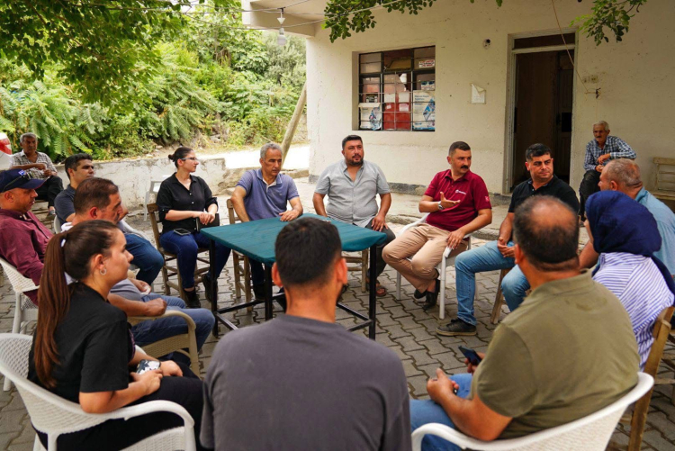 Akdeniz meyve sineği