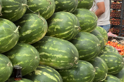 Yapay zeka pazara indi, karpuz seçimine başladı