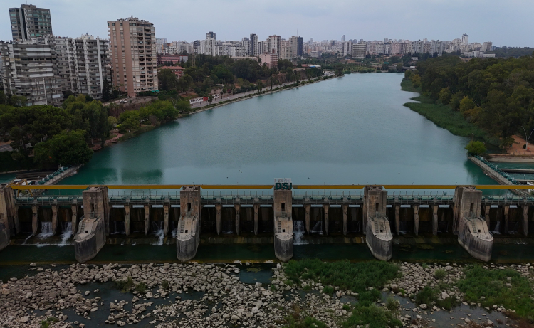 Adana Seyhan Nehri'ni yosun kapladı 3