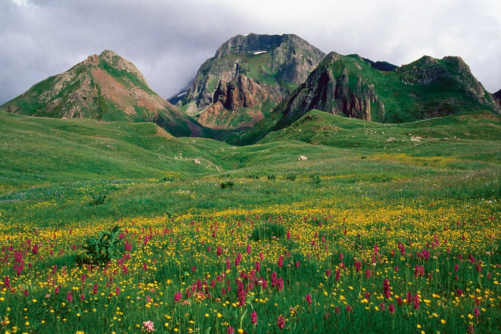 Artvin'in Saklı Cenneti Arsiyan: Göllerin ardındaki kan kırmızı ve peri kızı efsaneleri