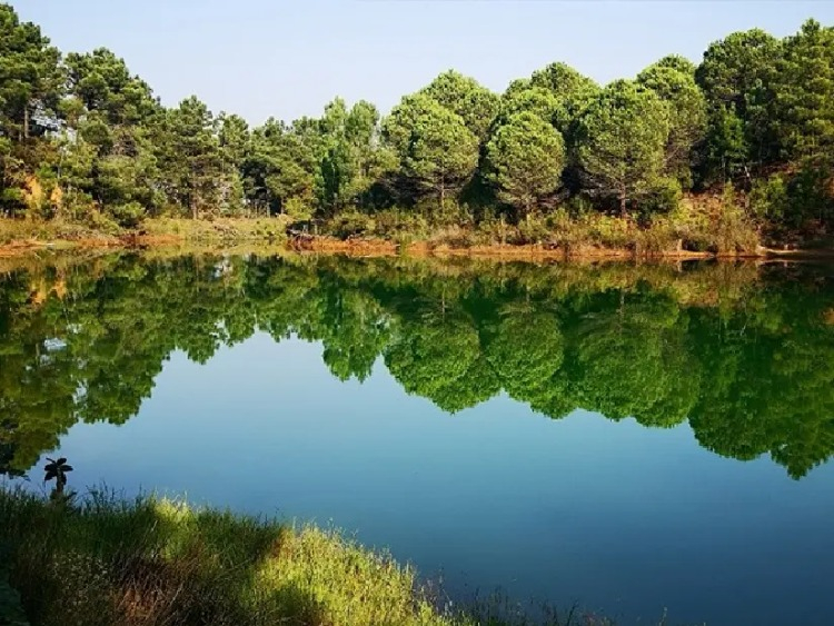 Mavramoloz Ormanı / İstanbul