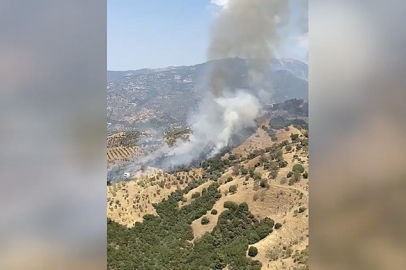 Aydın’da ziraat alanında yangın