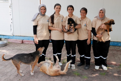 Çukurova Belediyesi’nden sokak hayvanlarına sevgi dolu dokunuş