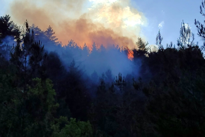 Orman yangınlarına bilimsel ve kolektif yaklaşımlar: Doğa Derneği’nden yeni seminer