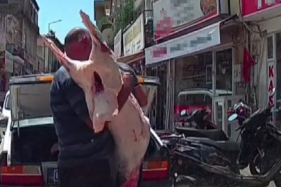 Adana'da hijyen skandalı tepki çekti!