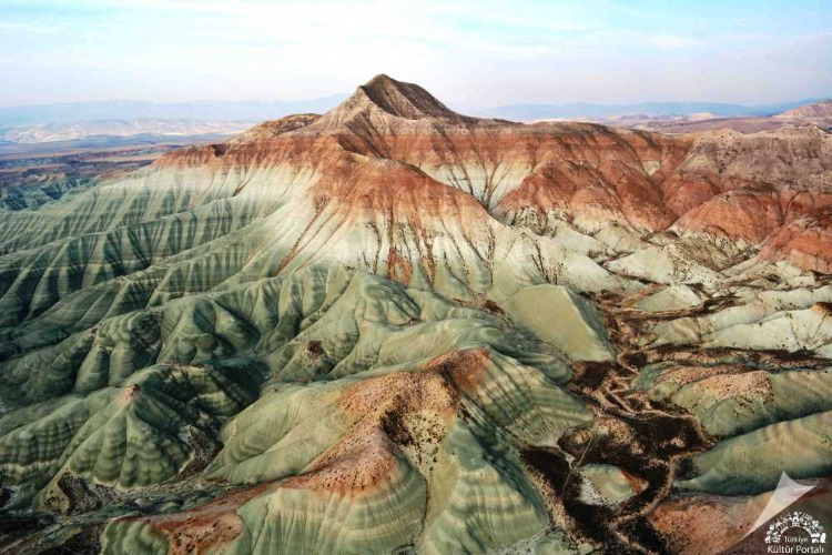 YÜZLERCE KANATLI MİSAFİR: ZENGİN KUŞ VARLIĞI