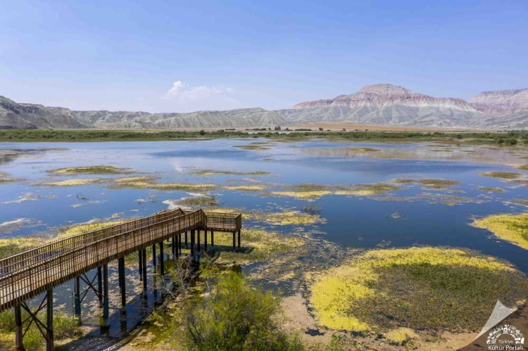 BİR DOĞA HARİKASI NASIL OLUŞTU?