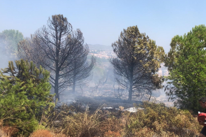 Datça’da çıkan yangın kontrol altına alındı