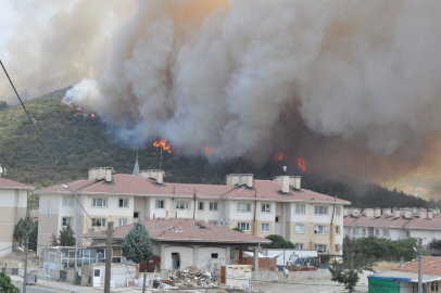 Edirne’deki orman yangınına yağmur yetişti