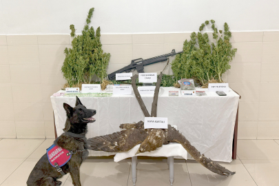 Tunceli’de uyuşturucuya karşı sıkı denetim