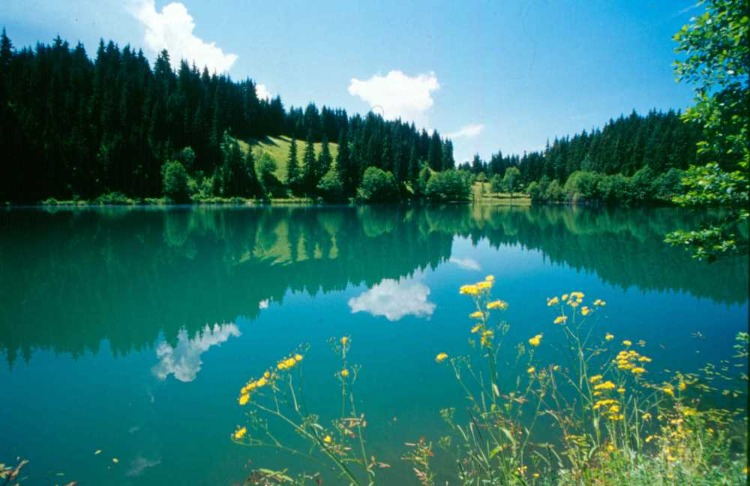 MASALSI BİR MANZARA: HEYELAN SET GÖLÜ KARAGÖL