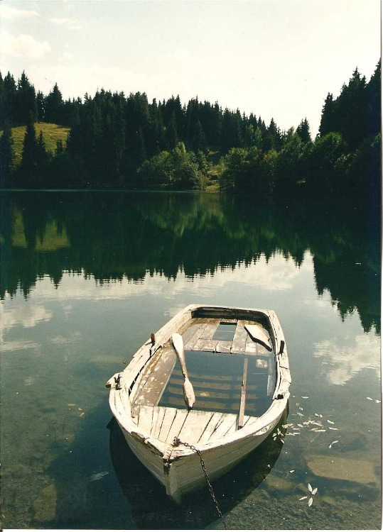 SADECE İZLEMEKLE KALMAYIN: KAMP, KARAVAN VE DOĞA SPORLARI...