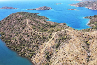 Marmaris'te yanan ormanlık alanlar yeniden yeşeriyor