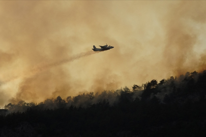 Orman yangını riski yükseldi, tedbirler sıkılaştırıldı