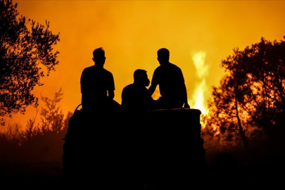 Çanakkale Bayramiç orman yangını sürüyor