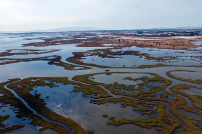 Gediz Deltası'nın canlılığı, kuraklıkla tehlikede