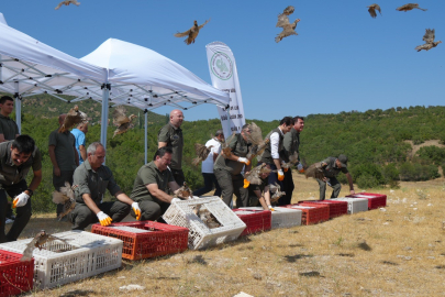 Keklik Özel Harekatın kenelere karşı mücadelesi devam ediyor