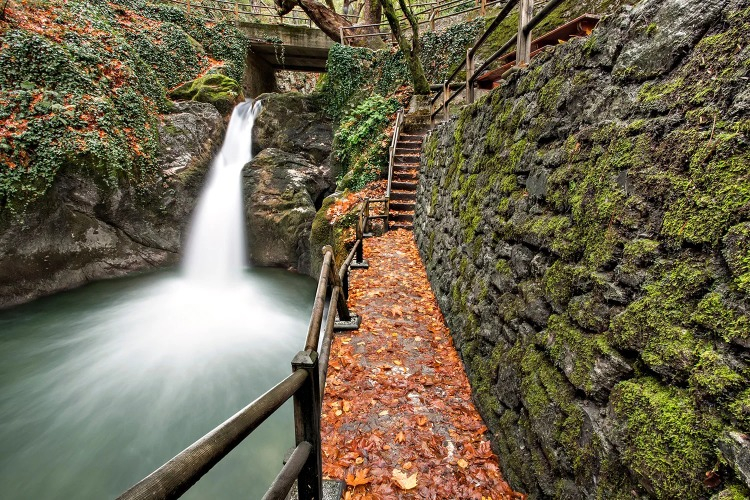 Kocaeli - Sardala Koyu