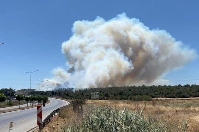 Çanakkale Kepez'de orman yangını hızla yayılıyor: Havadan ve karadan müdahale sürüyor