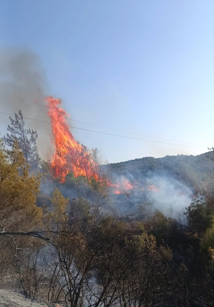 Hatay Yayladağı’nda ormanlık alanda yangın çıktı 2
